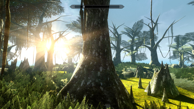 The mod that's bringing Morrowind into Skyrim is coming along nicely
