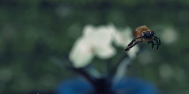 BEES?! Pollen explores this question and more on the moons of Saturn