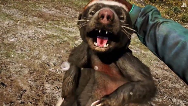 Far Cry 4 devs talk divergent play, seamless co-op