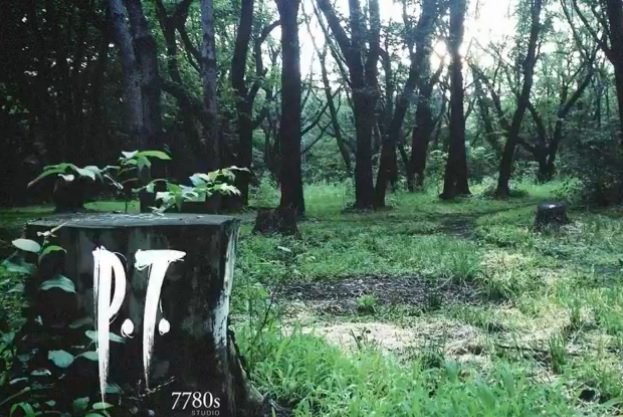 The Grate Debate's final puzzle solution for P.T. works consistently