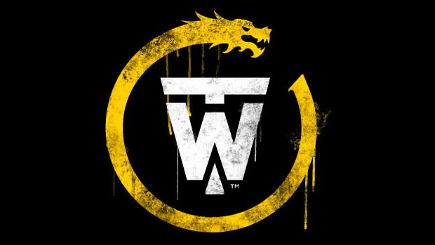The follow-up to Sleeping Dogs is a 'PC online game'