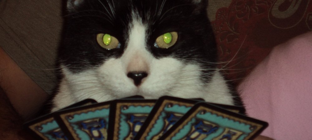 So what exactly is a deck-building game anyway?