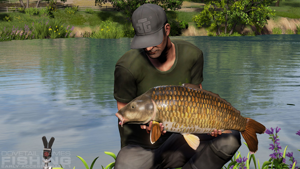 Holy carp, look at this fish!
