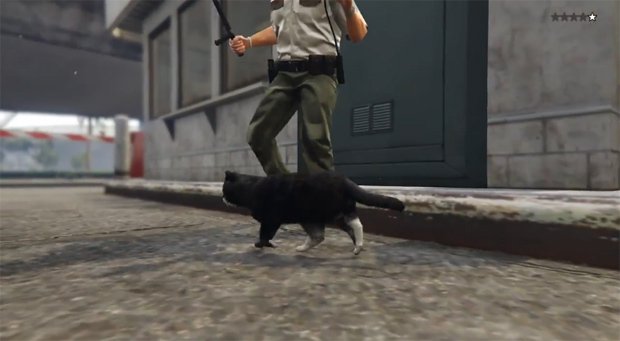 Why didn't anyone tell me you can become a cat in Grand Theft Auto V?