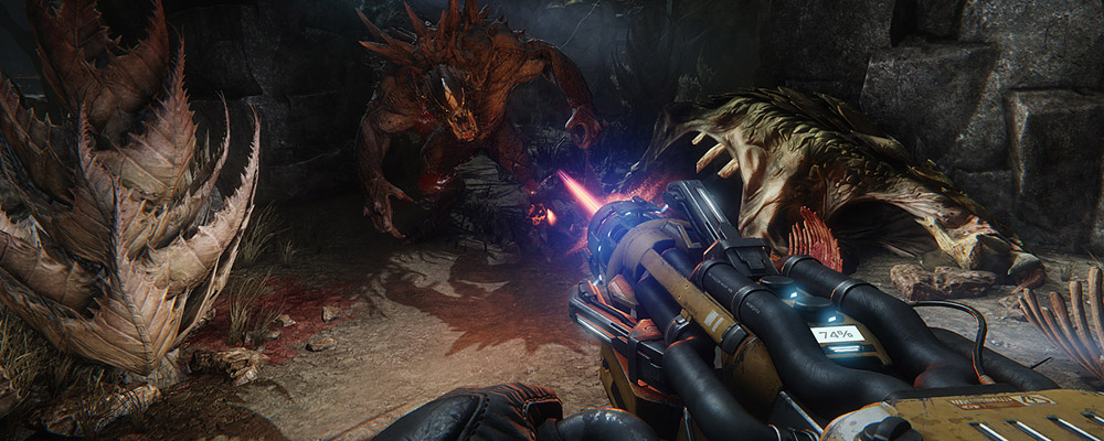 Evolve 25% Off & Pre-Black Friday Weekend Deals