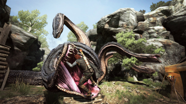 Oh dear: Dragon's Dogma Online trademarked