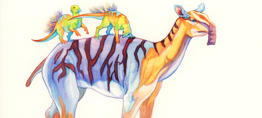 Board Game Review: Evolution