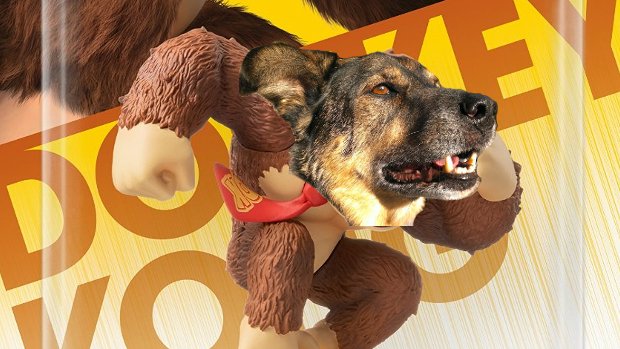 Whoa! Defect Donkey Kong amiibo looks strangely like my dog Hook