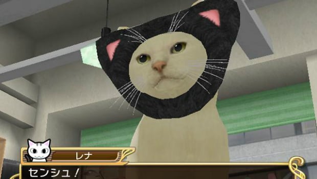 We salute you, President Cat