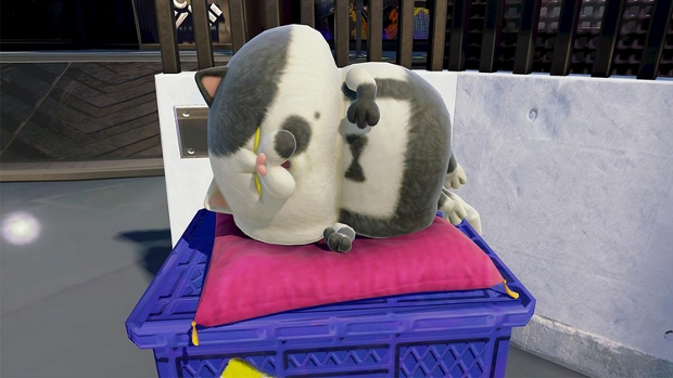 Daily cat fix: Splatoon's Judd takes a cat nap