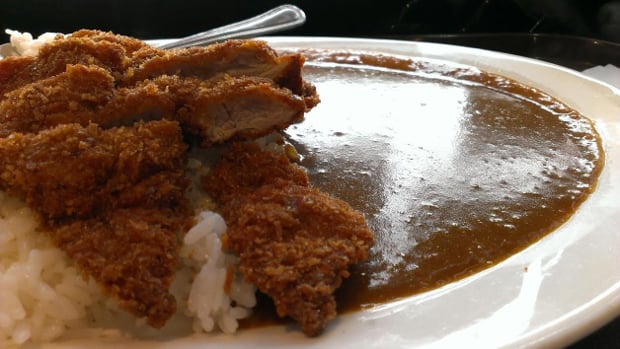 GDC 15 DLC #3: Japanese katsu curry with Dale