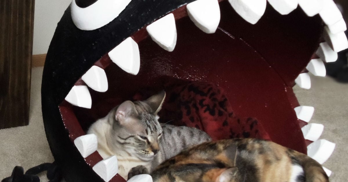 This Chain Chomp cat bed is amazing