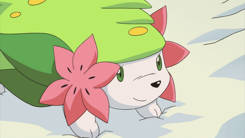 Pokemon Shuffle reaches 4m downloads, celebrate with Shaymin