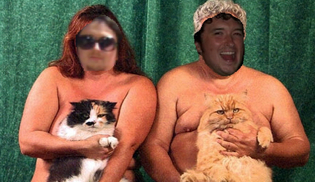 Friday Night Fights - Let's Roll Around In Cats