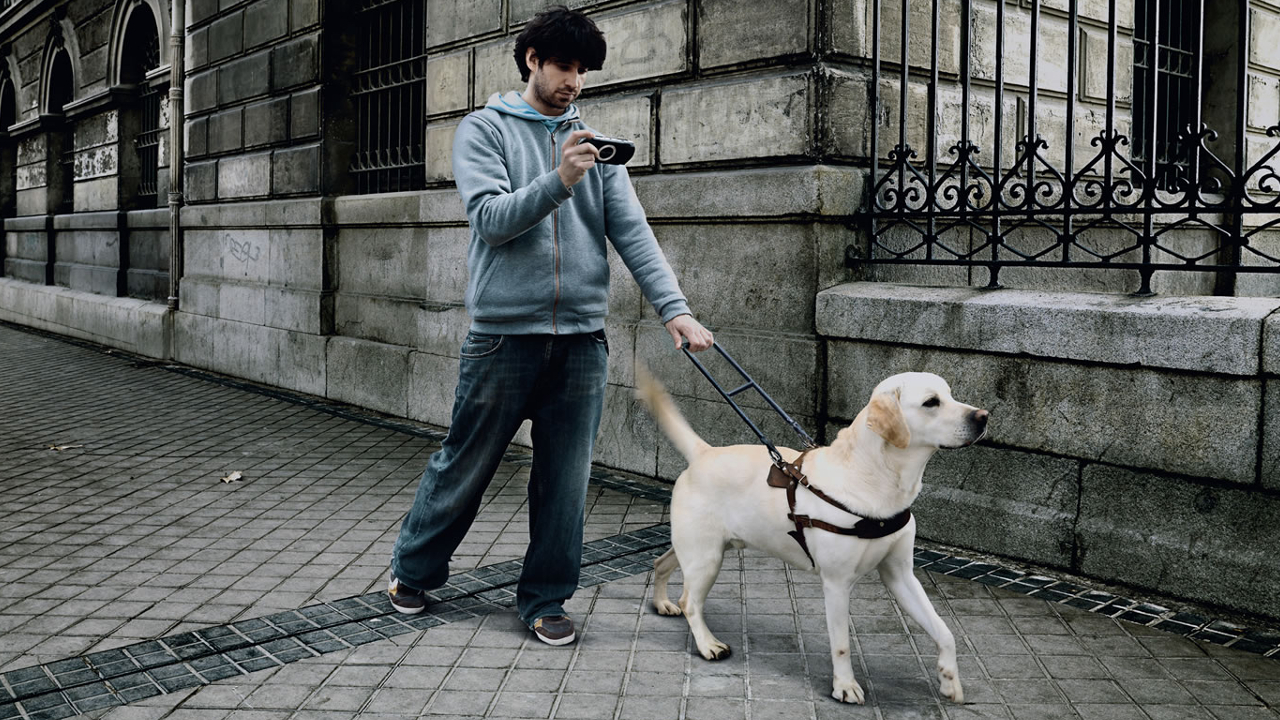 Dog gives crying baby PS3 controller in apology