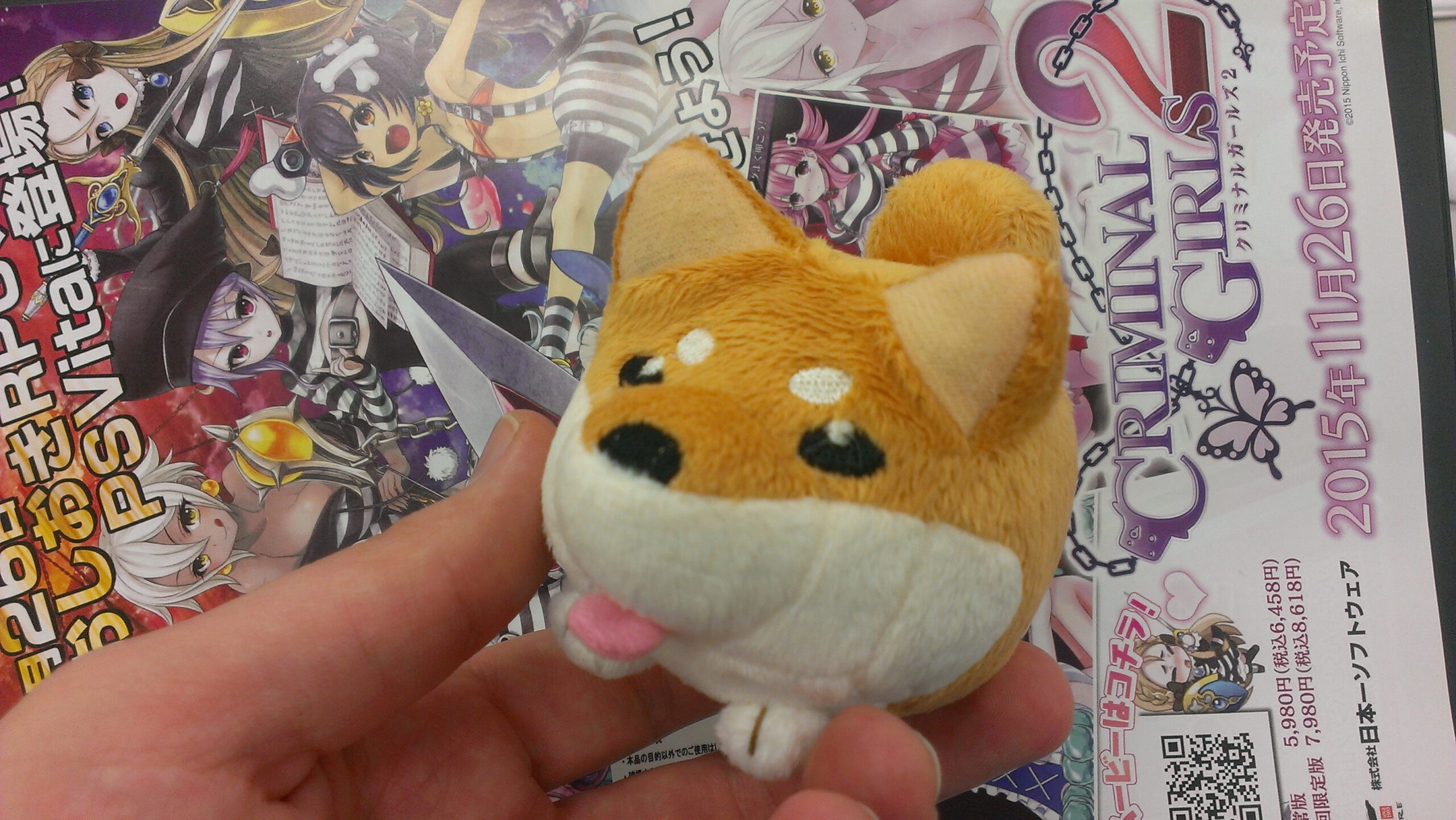 I got a cute ass shiba plush: Is this Candy Crush?