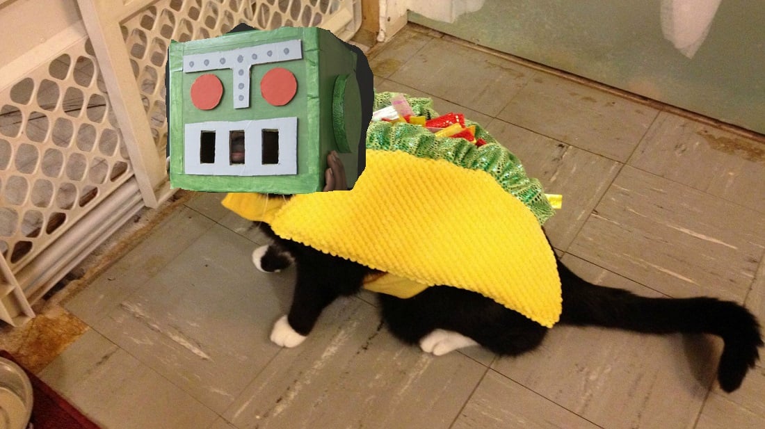 Friday Night Fights - Taco Cat Edition