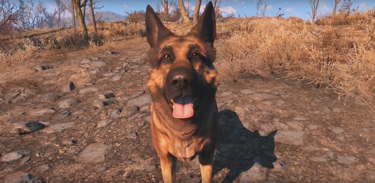 Meet the real-life Dogmeat