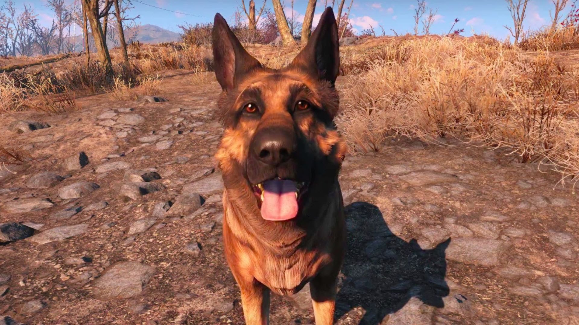 Fallout 4 mod lets you play as Dogmeat