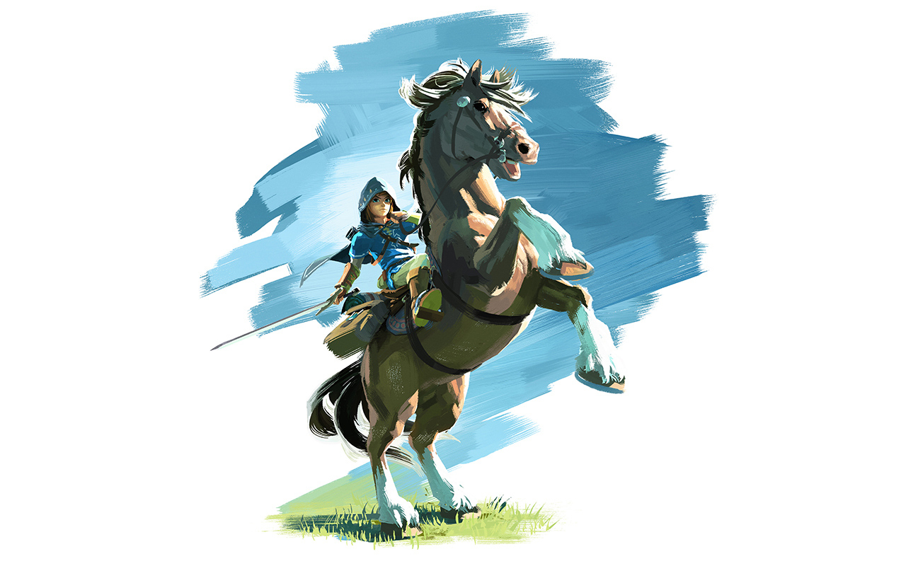 No, there is no female Link in Zelda: Breath of the Wild