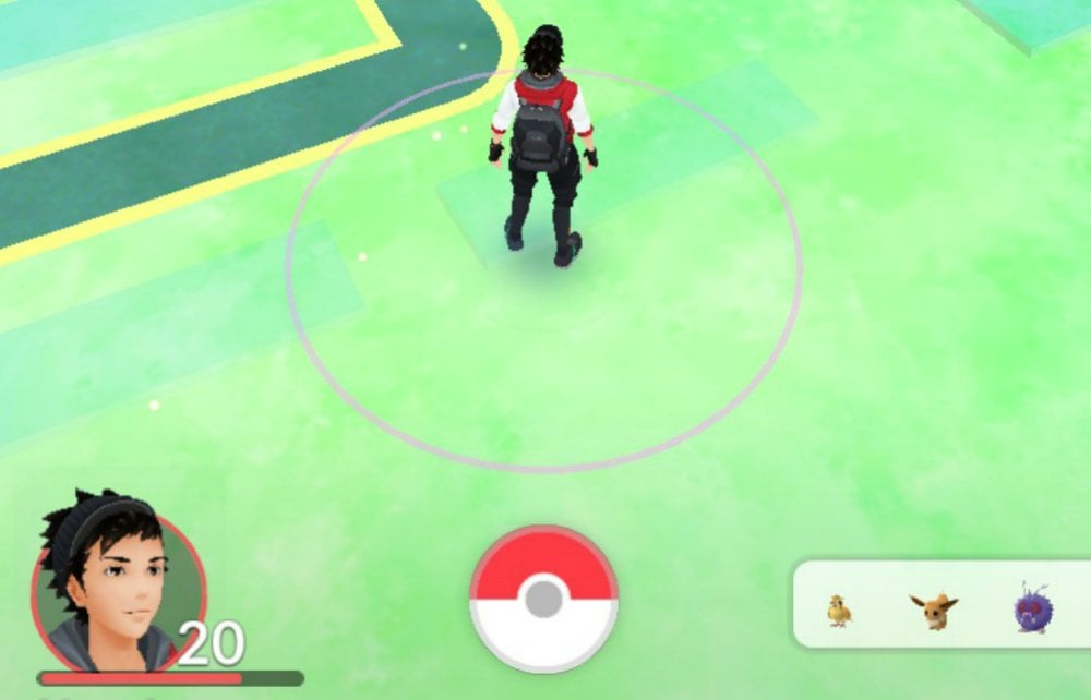 What level are you in Pokemon Go?