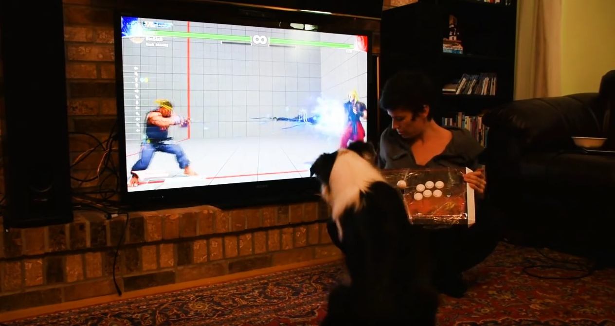 This good dog can hadoken!!!