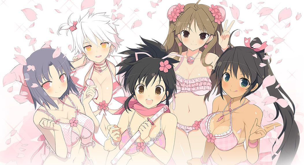 New Senran Kagura teased for 2017