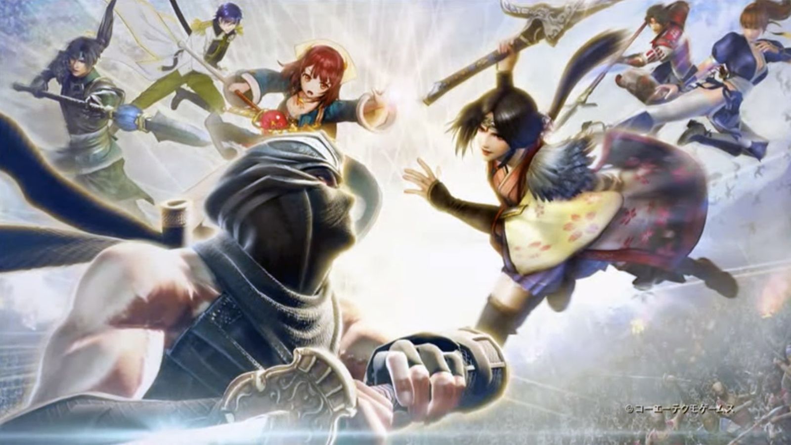 You can vote on which characters make it into Musou Stars