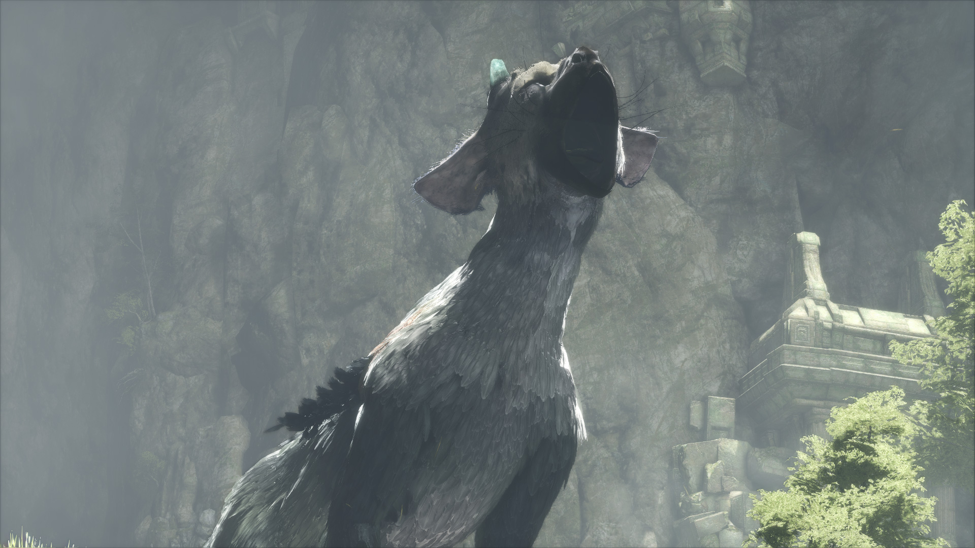 If you want to play The Last Guardian at a reasonably stable framerate, you'll need a PS4 Pro