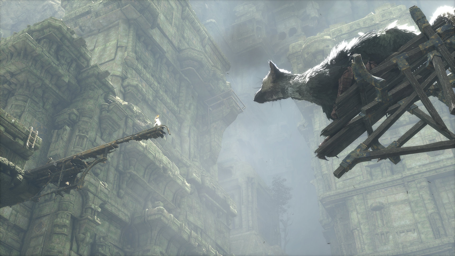 The Last Guardian director is interested in VR? See you in 20 years