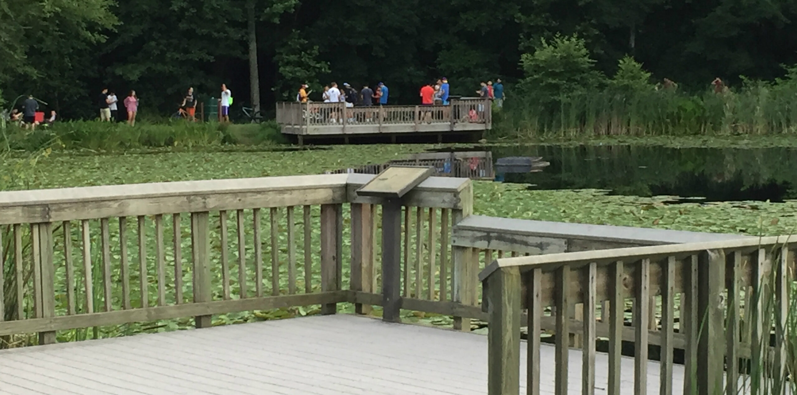 Parks are still trying to figure out how to deal with Pokemon Go