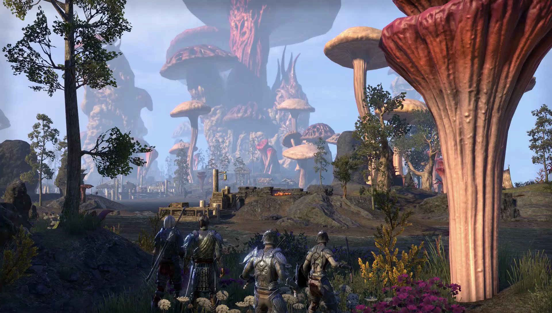 Here's what The Elder Scrolls Online's take on Morrowind looks like