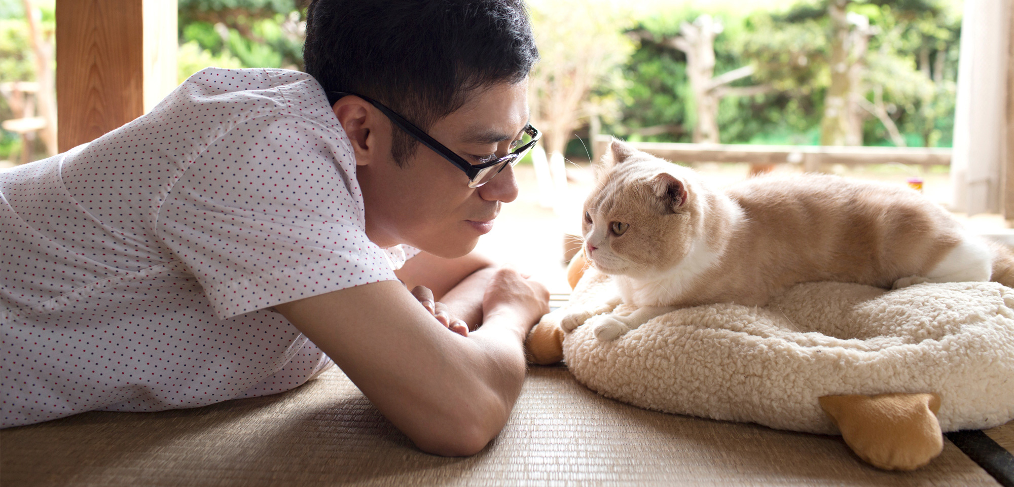 Neko Atsume making its way to PlayStation VR