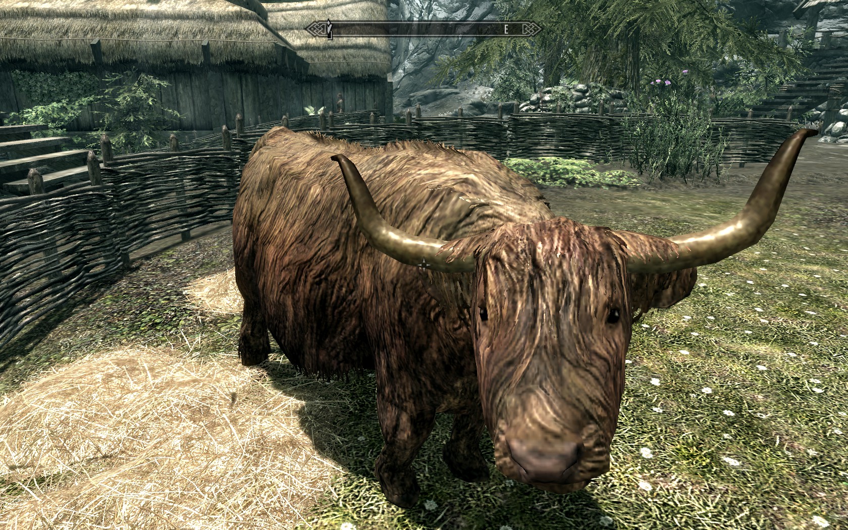 Skyrim: Special Edition gets more 'realistic' with a new survival mode