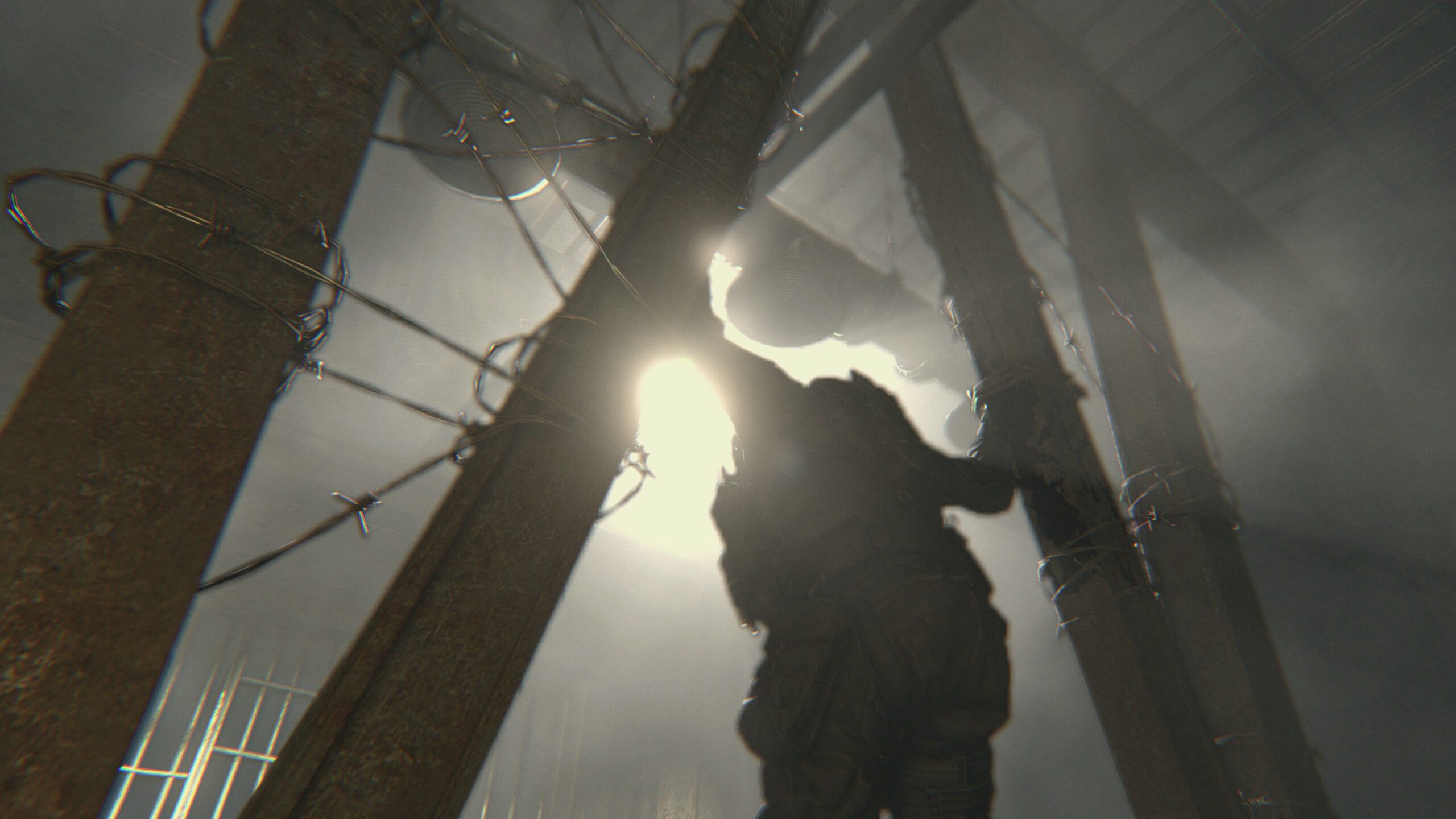 What do you want out of the next Resident Evil?
