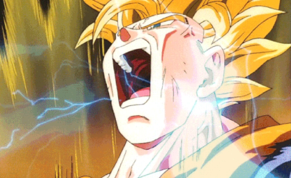 The Collector's Edition of Dragon Ball FighterZ does not contain the Fighter Pass DLC