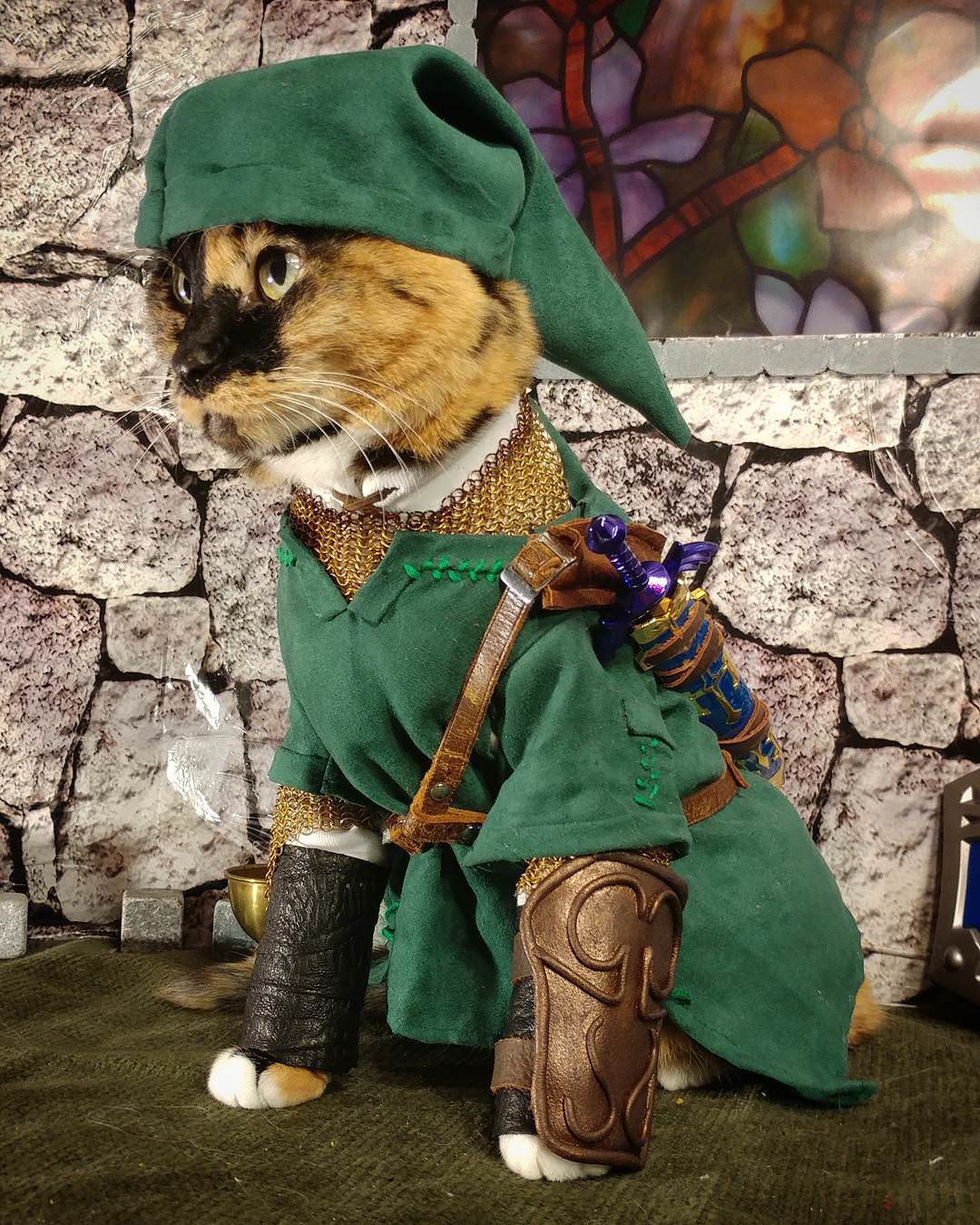 If you need to brighten up your day, Cat Link is the way to do it