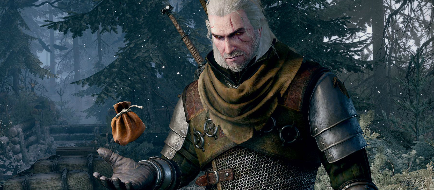 Look for a Geralt cameo in another game this year