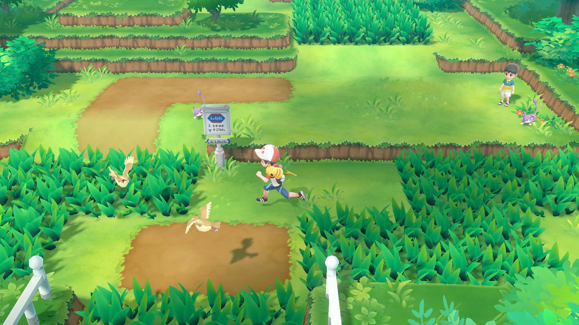 Pokemon 2019 will focus on longtime fans and feature lots of new Pokemon