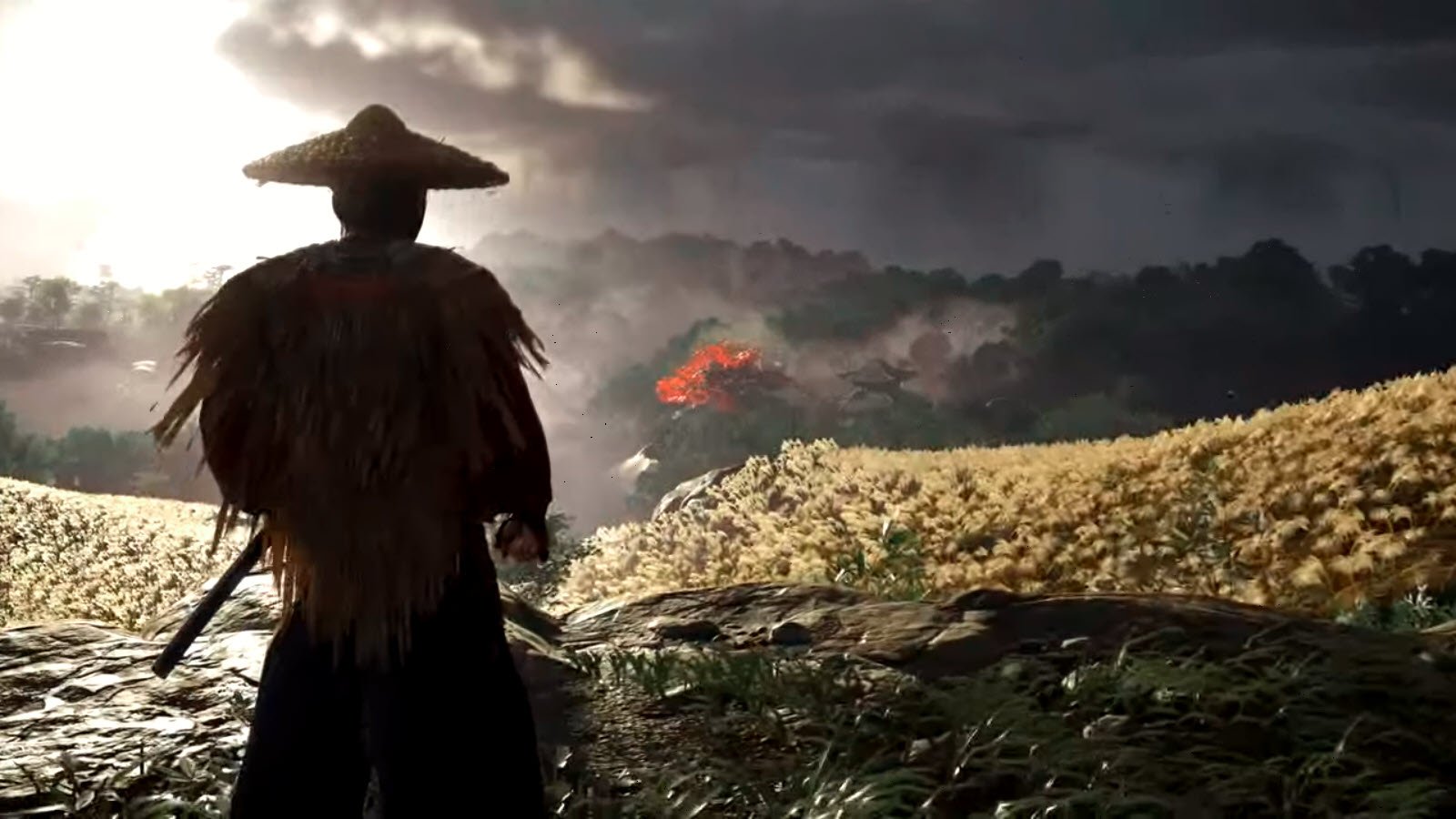 Ghost of Tsushima looks absolutely magical