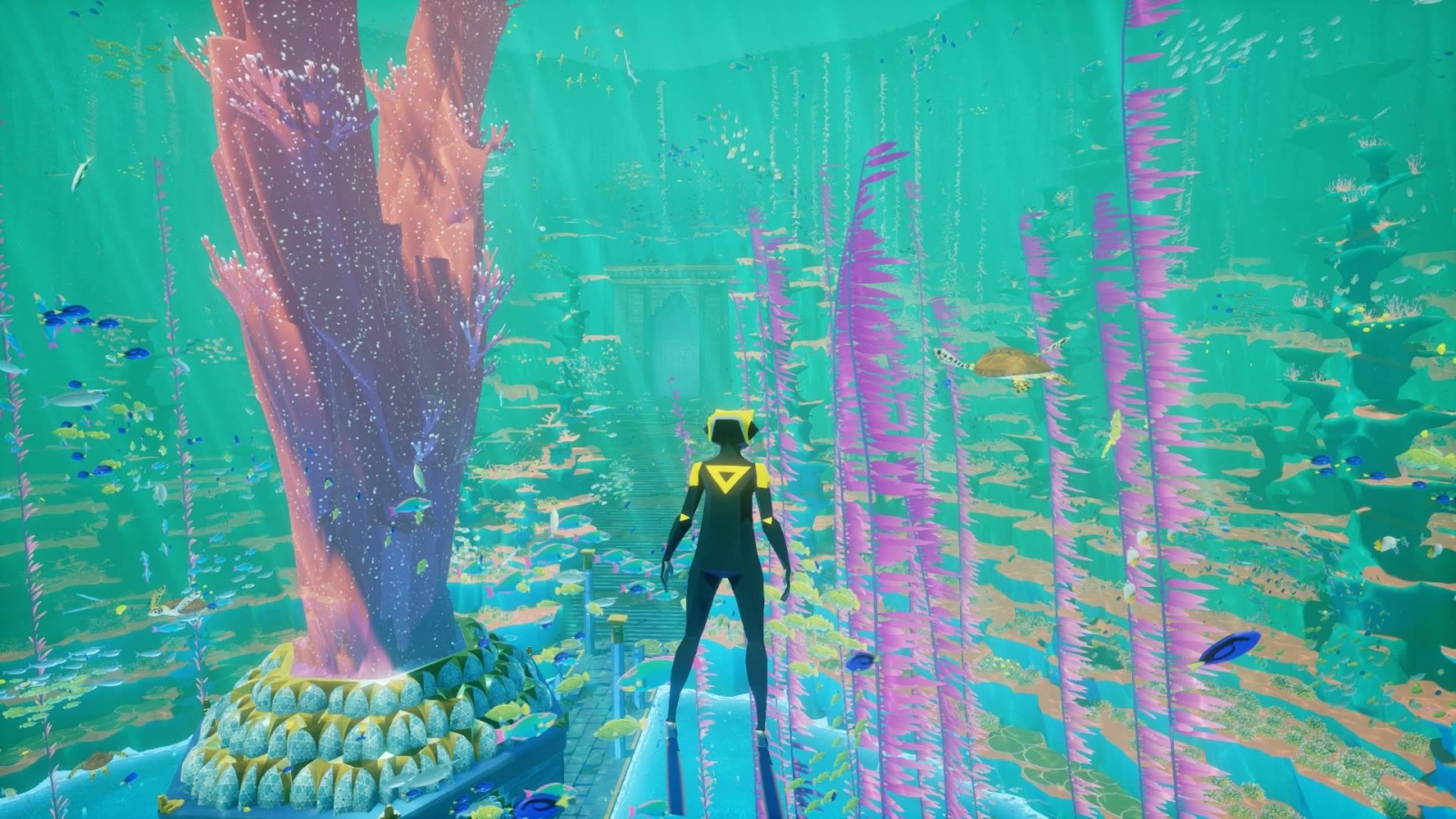 Let's go for a dip! The community's favorite swimming animations