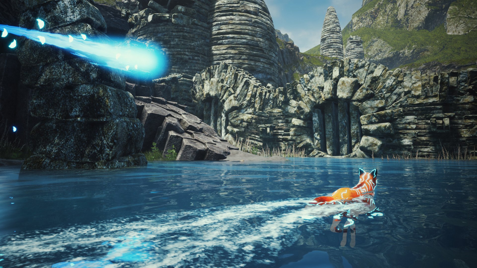 Spirit of the North looks like a pleasant animal adventure