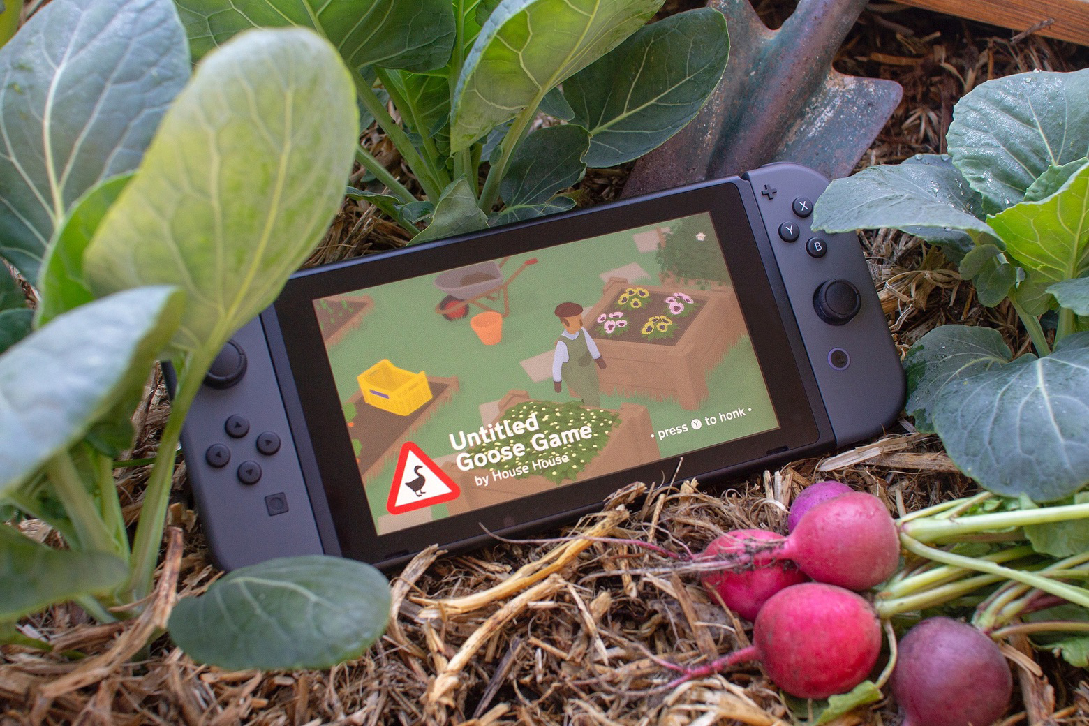 That Asshole Goose will be causing a ruckus on Switch in early 2019