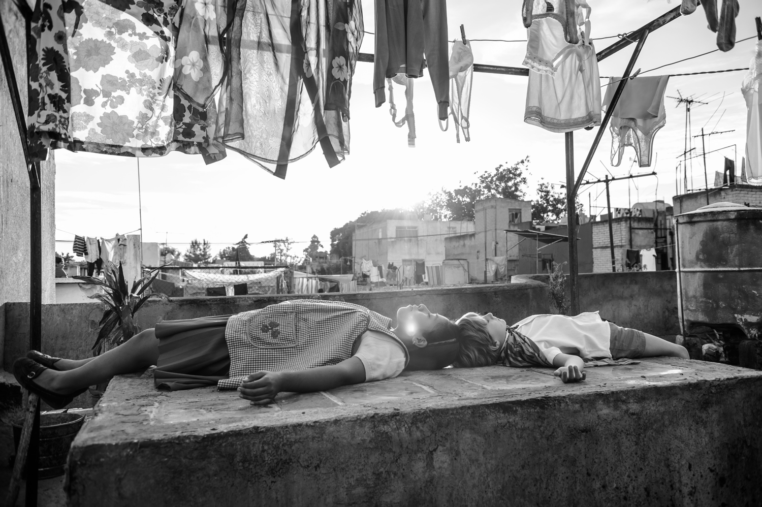 Roma to receive a day-and-date theatrical release on 100 screens
