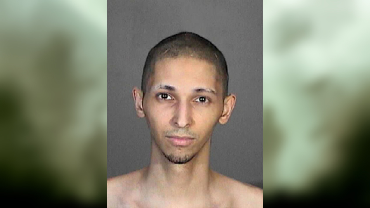 'Call of Duty swatter' pleads guilty, will be sentenced next year