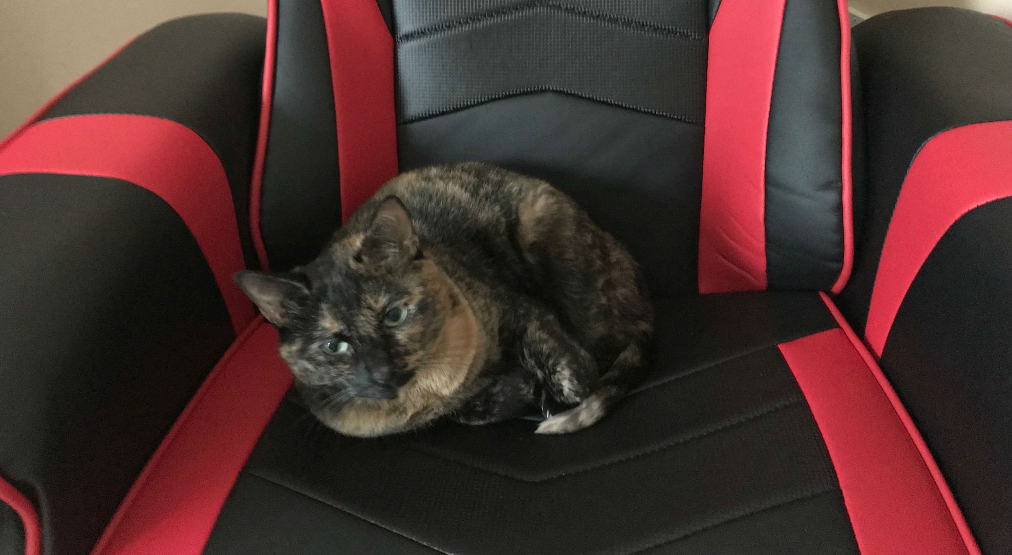 Review: Respawn-900 Gaming Chair