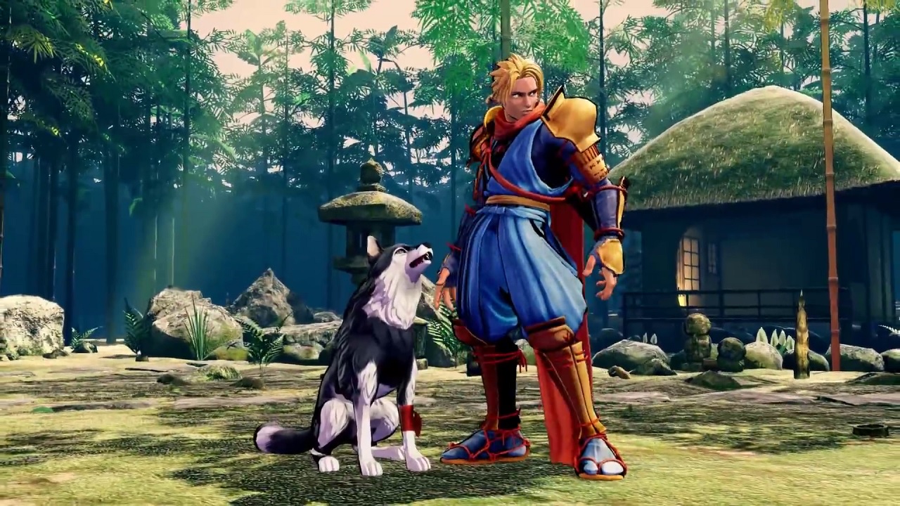 Europe is getting a pretty slick Samurai Shodown collector's edition