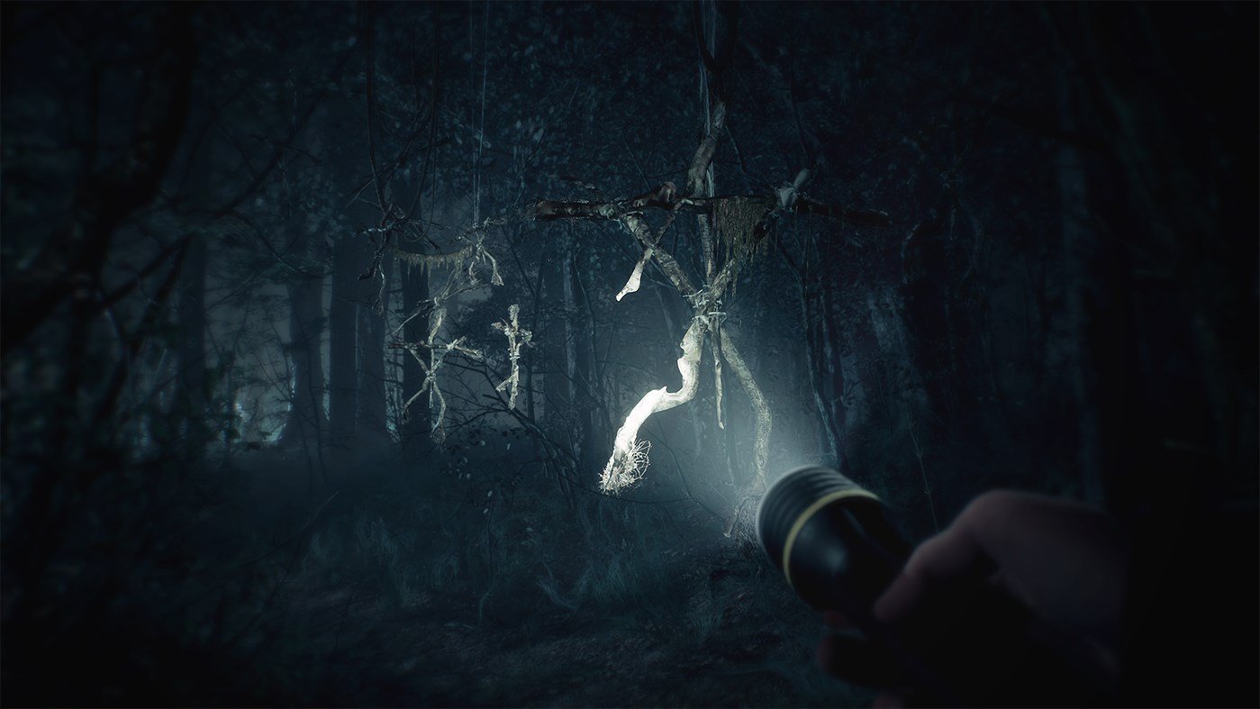 Don't go into the Blair Witch woods, idiot!