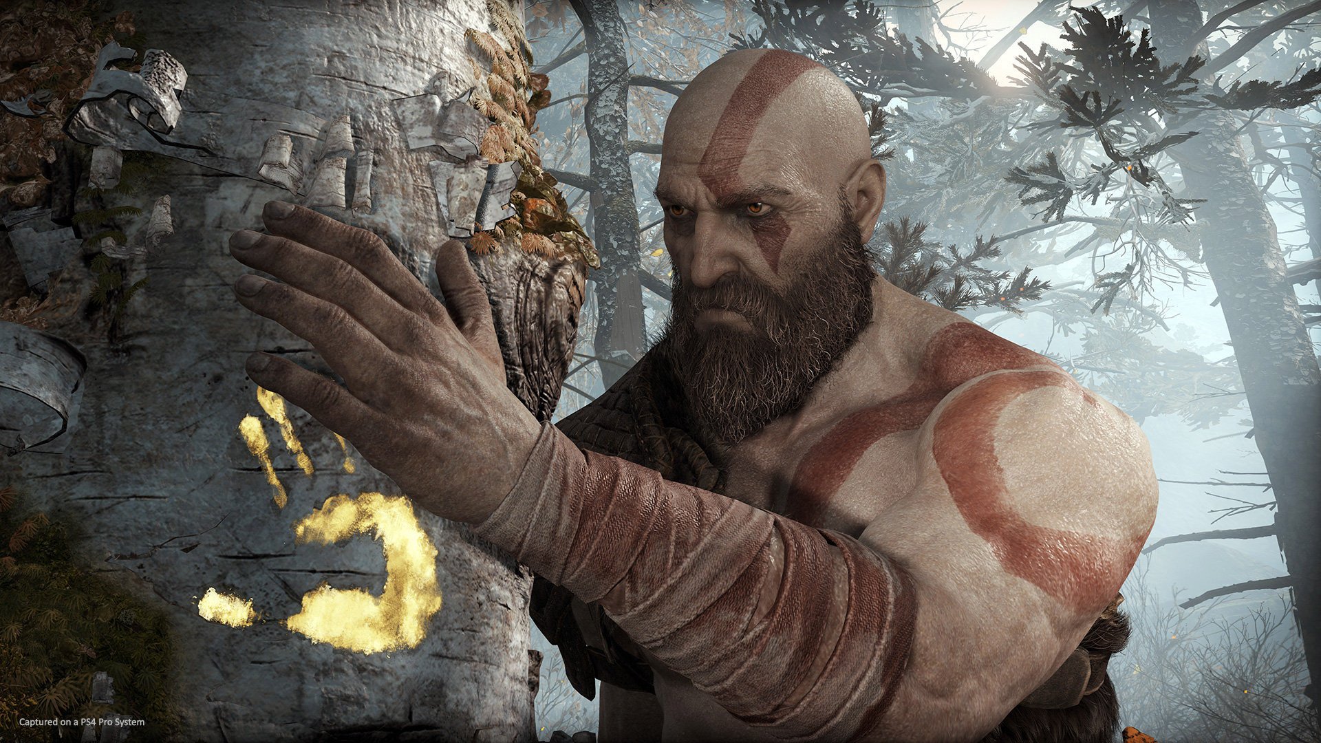 Writers Guild of America removing gaming category from its awards show