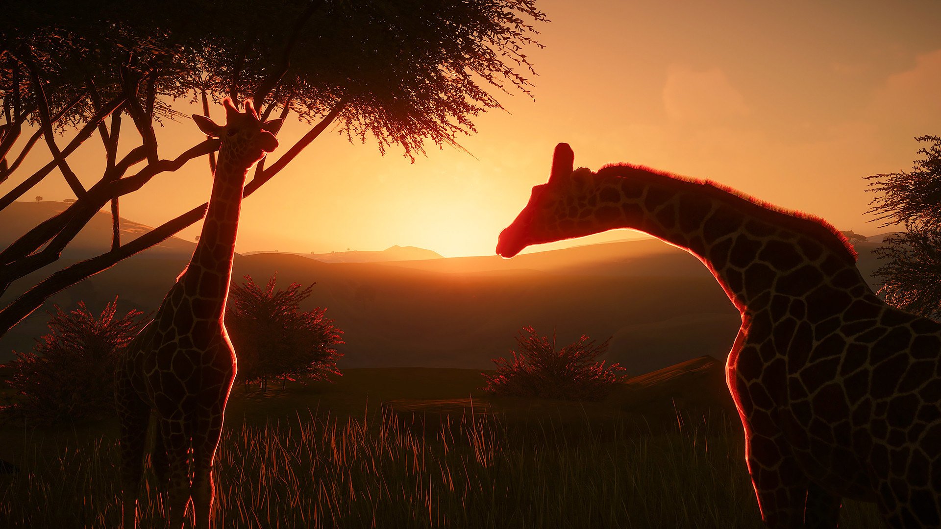 Planet Zoo guide: Tips I wish I would've known sooner